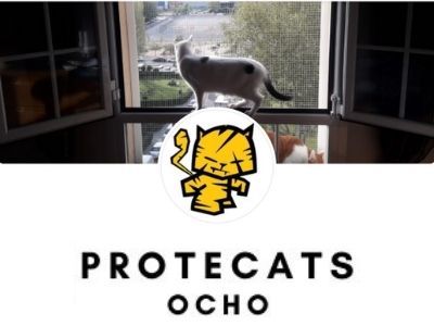 partner 4 gatos protecats